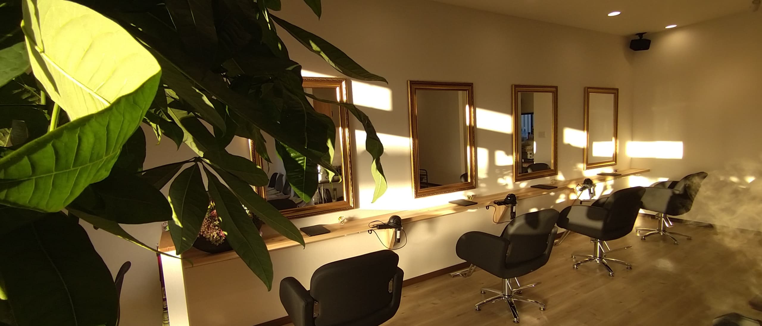 コスタヘア サロン内装